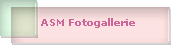 ASM Fotogallerie